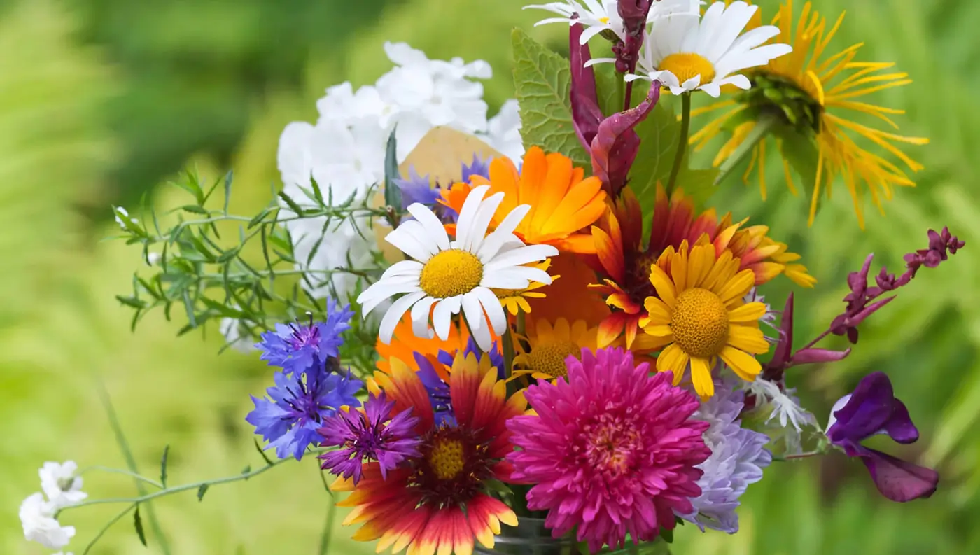 National Floral Design Day 2026 (28 February): Date, Significance, Fun Ideas & How to Celebrate