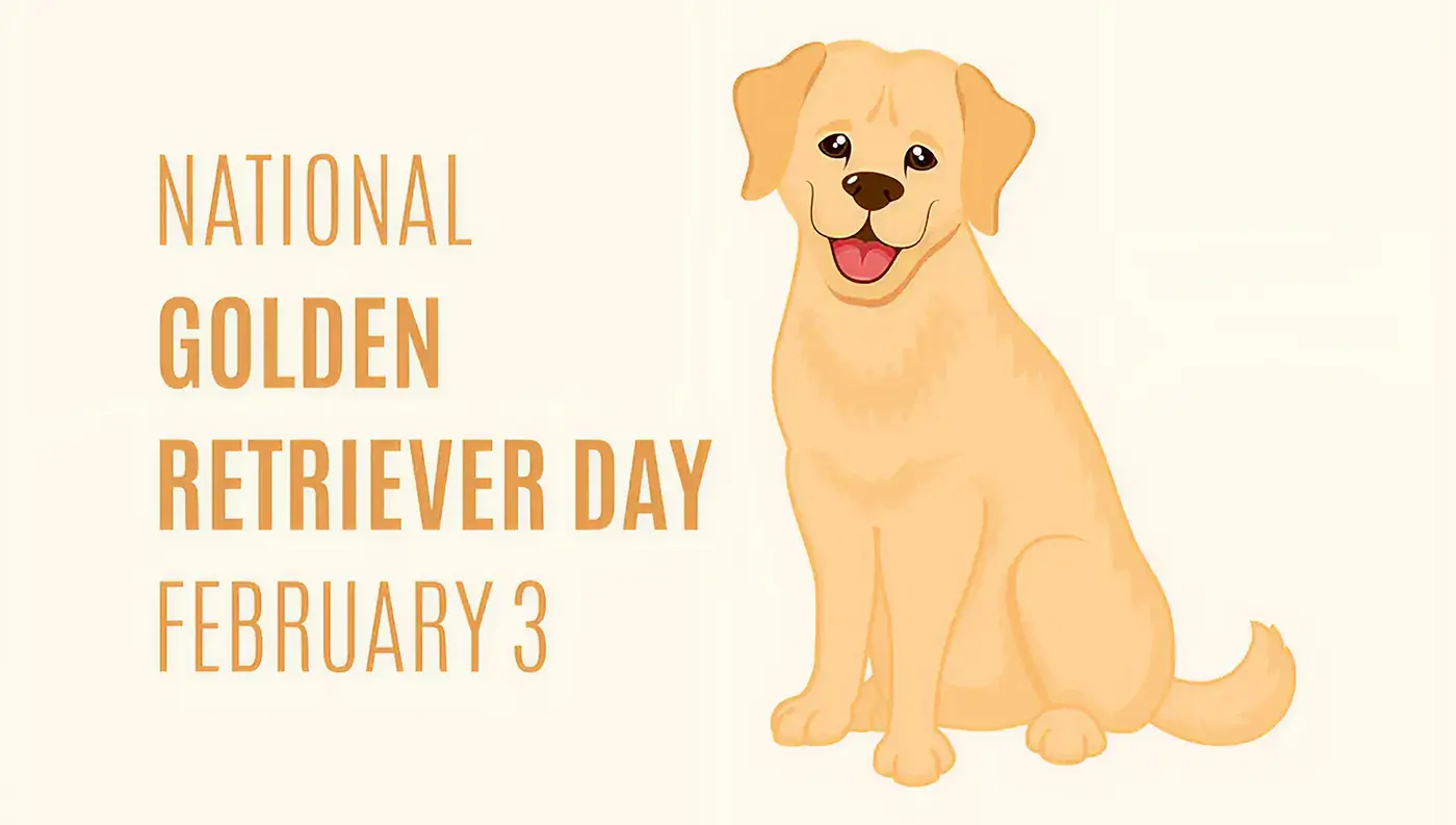 National Golden Retriever Day 2026: Date, History, Significance & Ways to Celebrate