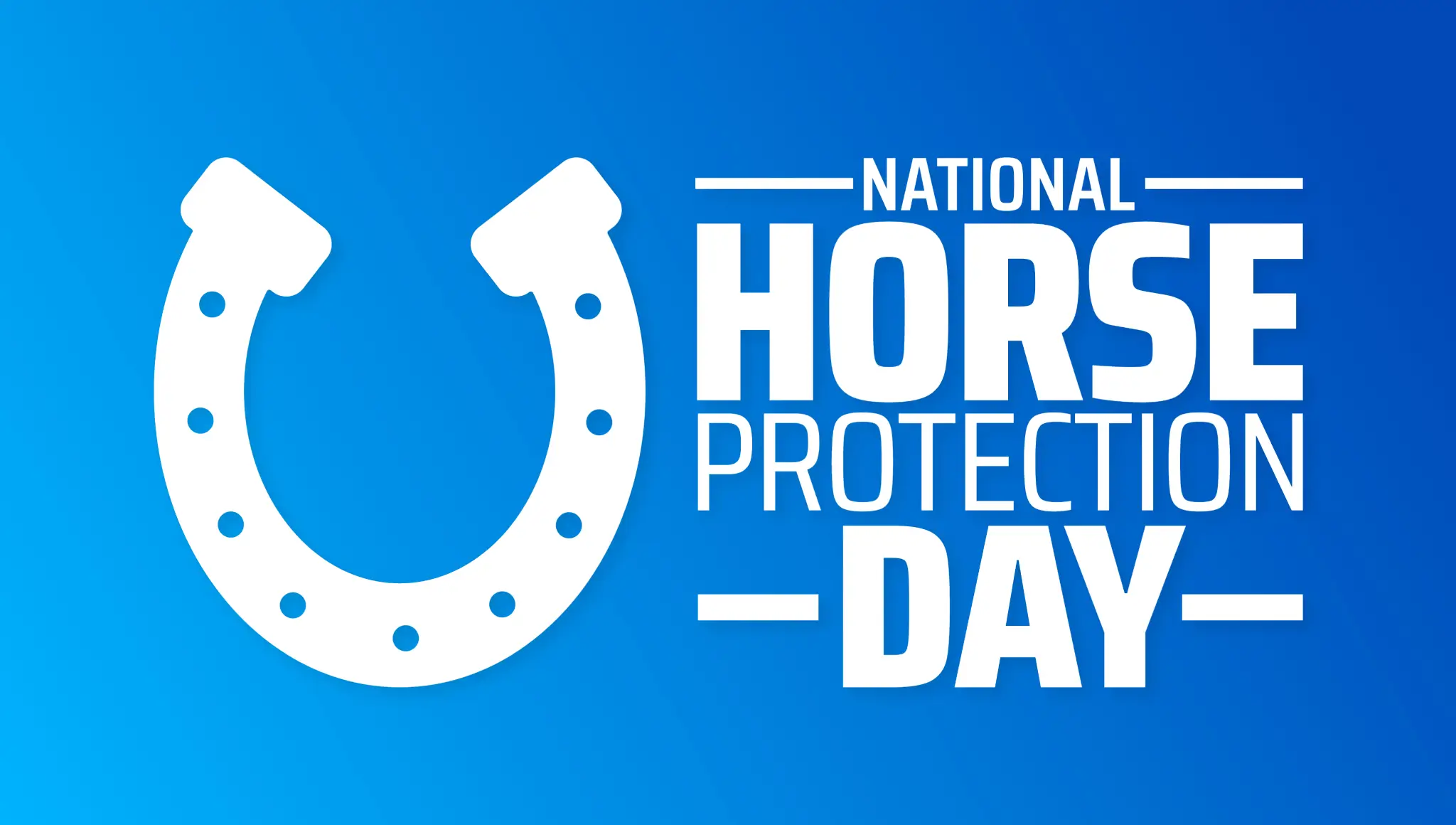 National Horse Protection Day 2026 (1 March): Date, Meaning, Horse Welfare Awareness, Ways to Help & Long Wishes