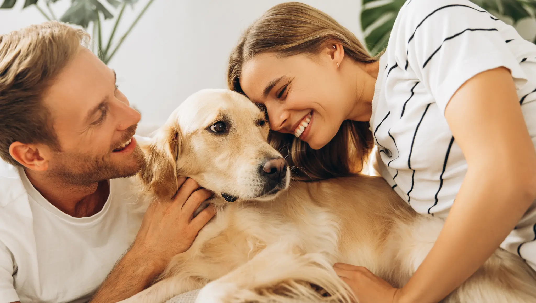 National Love Your Pet Day 2026 (20 February): Date, Significance, Pet Care & Celebrate the Bond With Your Pets