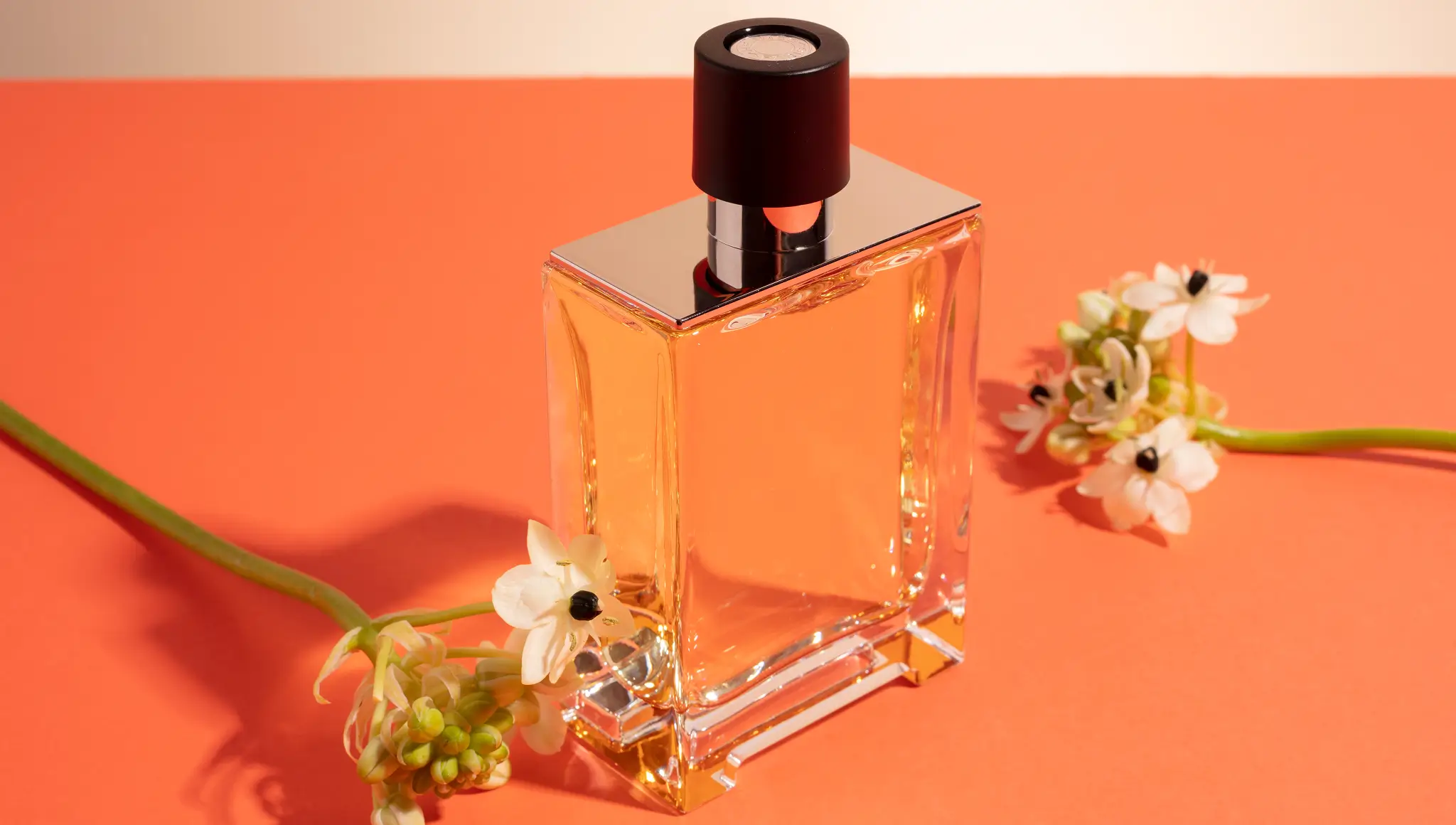 Perfume Day 2026 (17 February): Date, History, Significance, Psychology of Fragrance & Ways to Celebrate