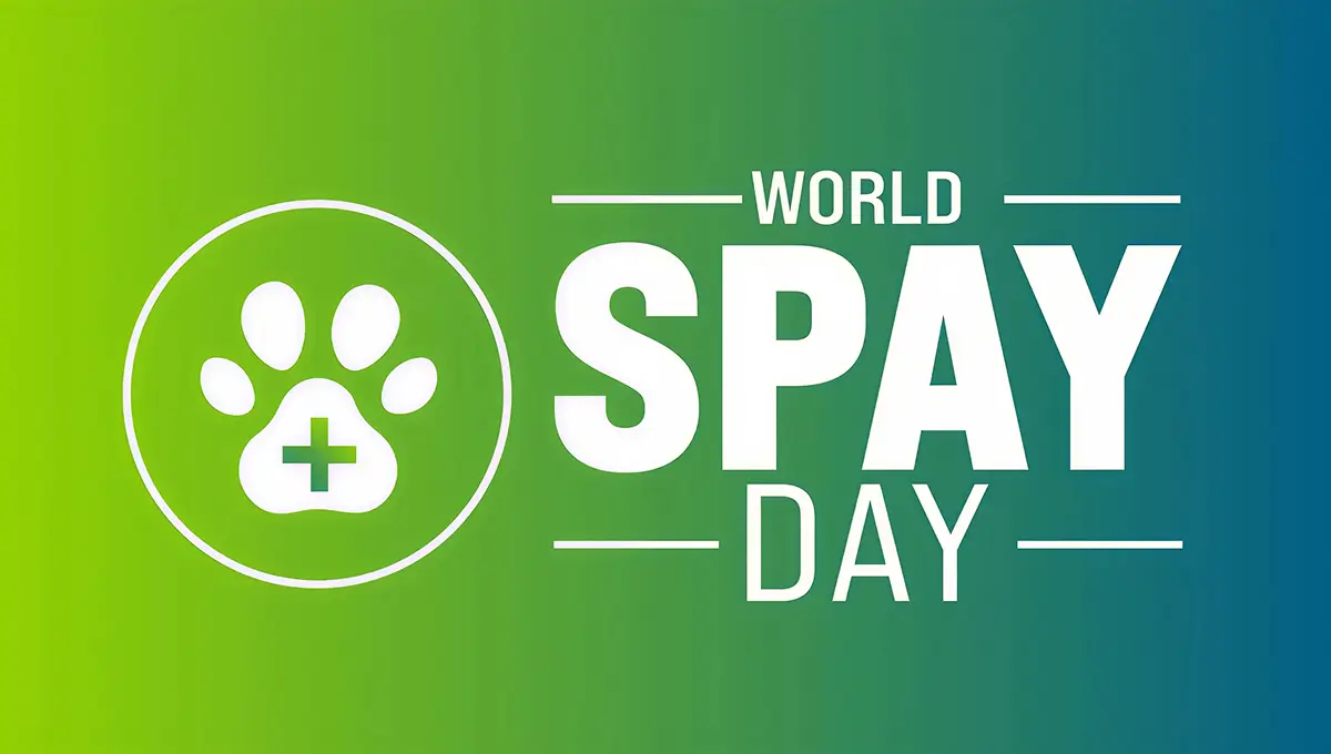 World Spay Day (24 February) 2026: Date, History, Significance & How to Support Pet Welfare