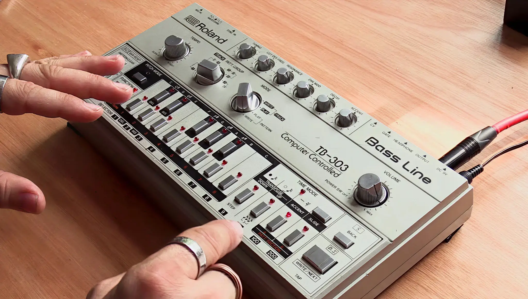 World TB-303 Appreciation Day 2026 (30 March): Date, History, Significance, Facts, Celebrations & More